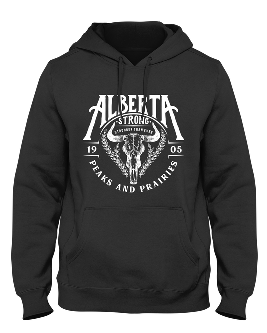 Youth Peaks and Prairies Hoodie