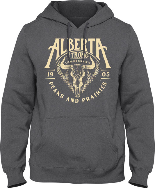 Peaks and Prairies Hoodie