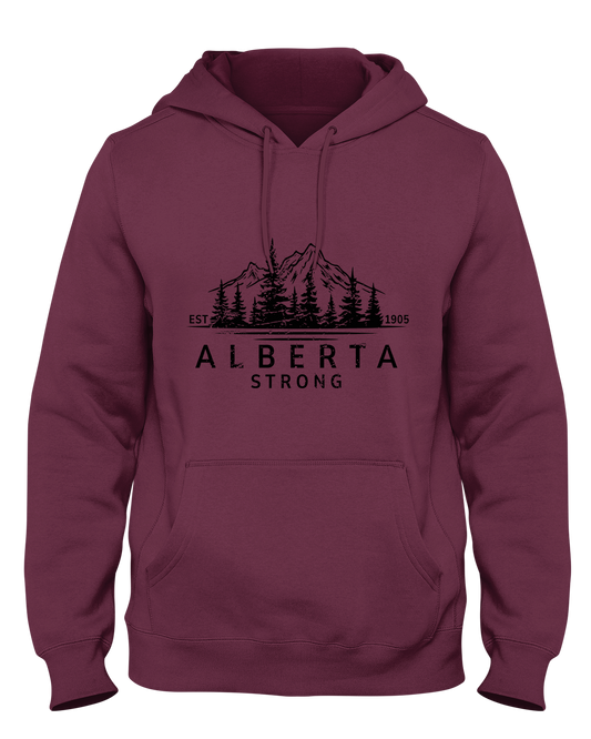 Elevation Hoodie