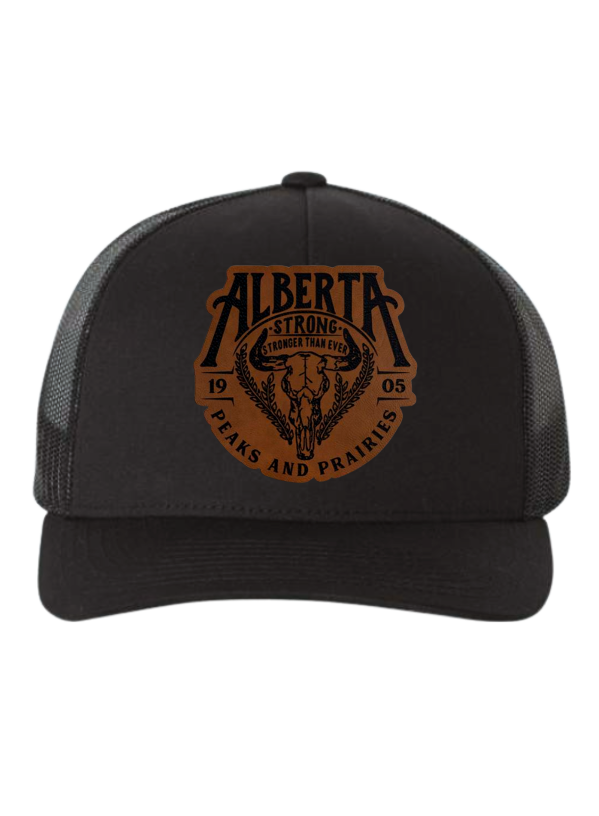 Peaks and Prairies Leather Patch Hat