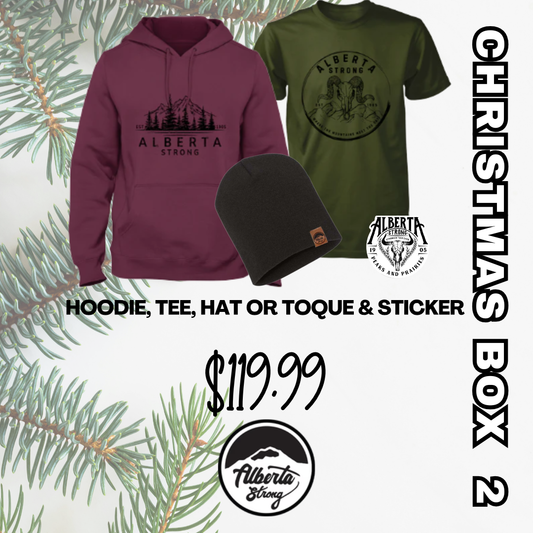 Christmas Box 2 2025